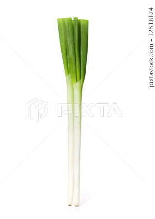 Japanese leek  12518124