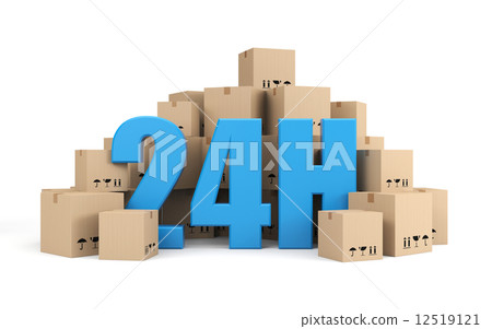 24 hours delivery 12519121