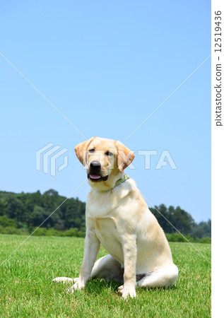 what! What? 12519436