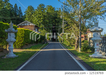 春日神社的第二個鳥居和接近的道路 12519769