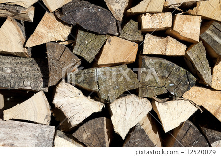 Firewood Firewood 12520079