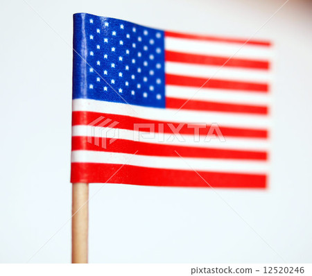 American flag 12520246