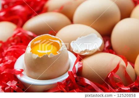 egg 12520858