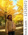 Autumn leaves 12520972