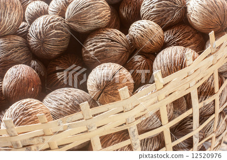 Cerbera odollam in baskets Cerbera odollam in baskets 12520976