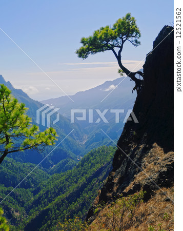 Caldera de Taburiente National Park on La Palma 12521562