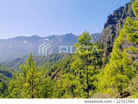 Caldera de Taburiente National Park on La Palma 12521565