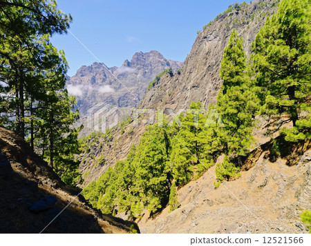 Caldera de Taburiente National Park on La Palma 12521566