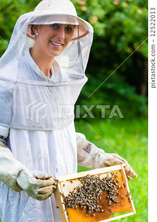 Beekeeper controlling beeyard and bees Beekeeper controlling beeyard and bees 12522013