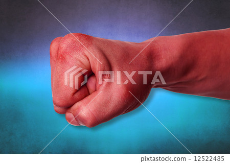 Fist power martial arts emblem, symbol. 12522485