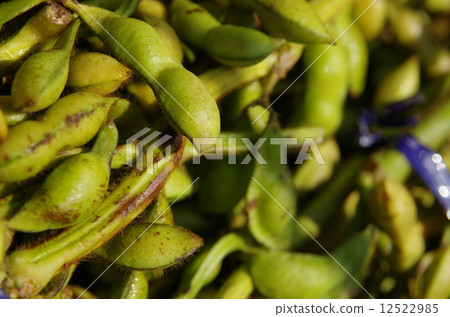 Tanba's black bean Tanba's black bean 12522985