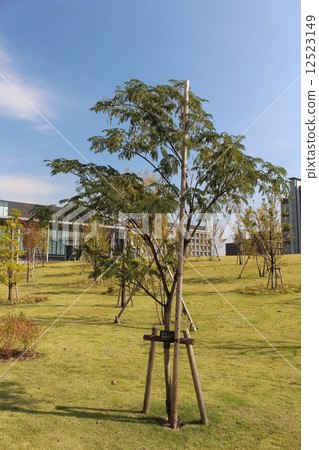 Nemnock and autumn sky Nemnock and autumn sky 12523149