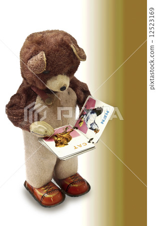 A bear reading a picture book 12523169