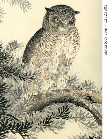 古董·插圖“貓頭鷹” 古董·插圖“貓頭鷹” 12523905