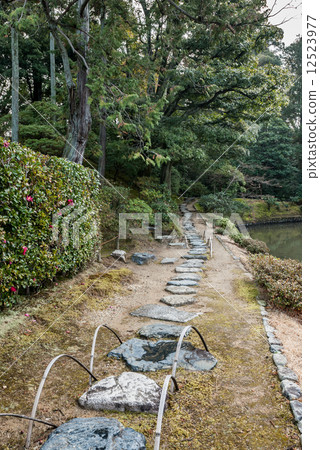 Katsura Rikyu Song Shinkotei Moss鵝卵石和橋樑 12523977