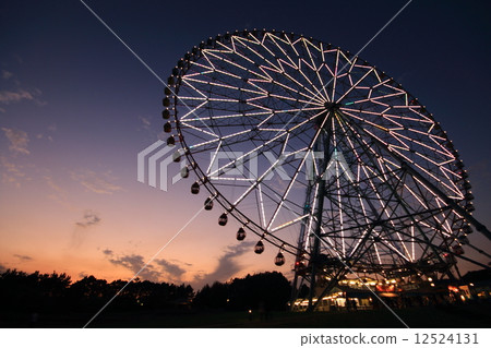 Kasai Rinkai Park 12524131