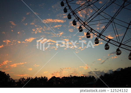 Kasai Rinkai Park 12524132