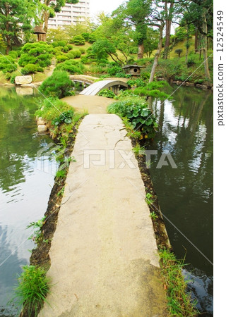 Bridge of Japanese garden 12524549