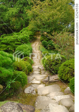 Japanese garden road 12524550