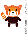 Lesser panda 12524619