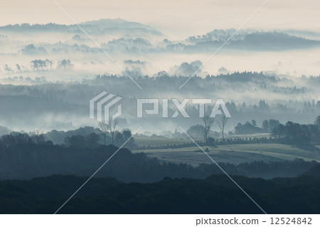 Emei Plateau where fog can stand Emei Plateau where fog can stand 12524842