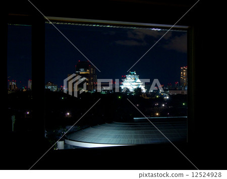 從酒店出發的大阪城 12524928