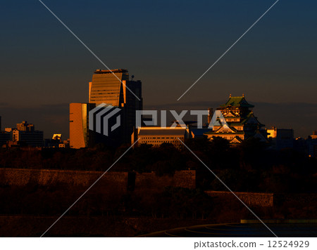 在早晨煥發的大阪城堡 12524929