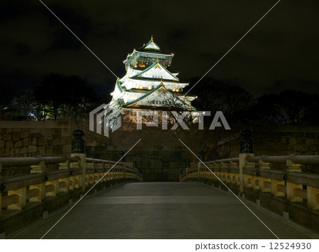 大阪城堡Gokuraku橋樑夜視圖 12524930