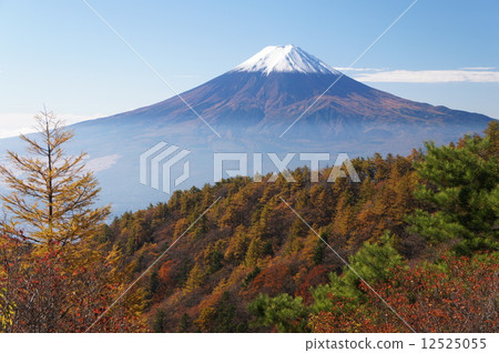 Mt. Toge山秋葉 Mt. Toge山秋葉 12525055