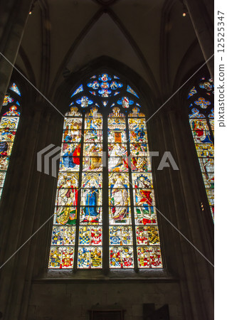 Stained glass of Cologne Cathedral 12525347