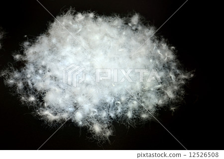 向下球 向下球 12526508