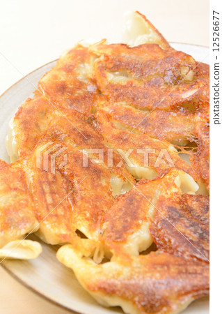 Delicious grilled dumplings 12526677