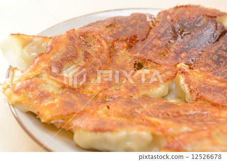 Delicious grilled dumplings 12526678