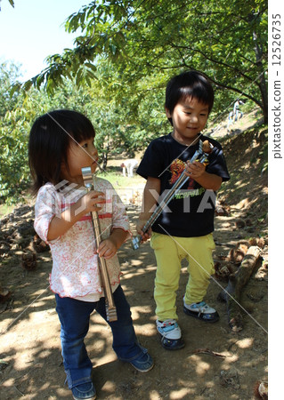 板栗採摘 12526735