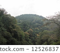 Okutama 12526837