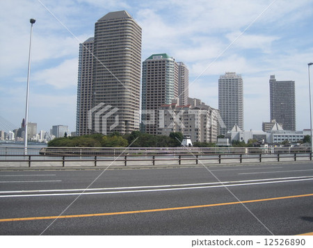 栽培稻場 12526890