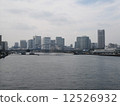 Tsukiji Bridge 12526932