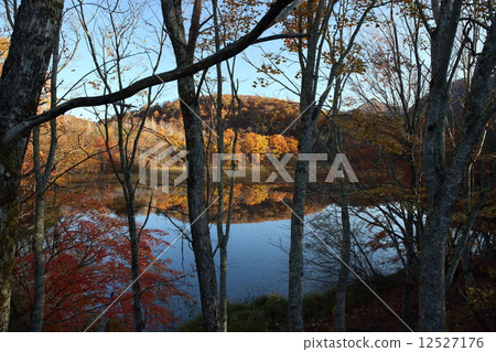 Kannonuma Kannonuma 12527176