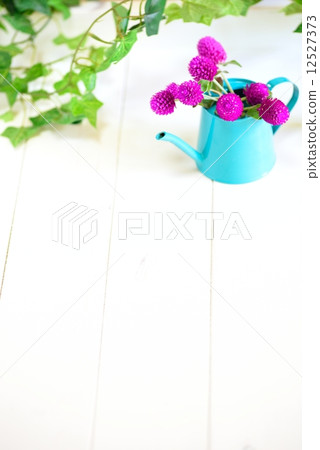 自然形象 12527373