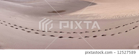 Great Sand Dunes National Park 12527589