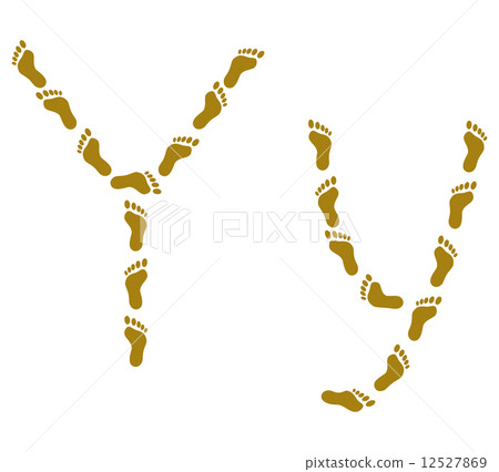 Traces, letter Y 12527869