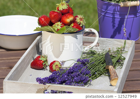 Lavender with a knife on a tray 12527949