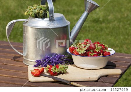 Strawberries, lavender, poppy capsules freshly harvested 12527959