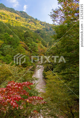 滑谷雪環瀑布 12528195