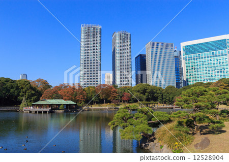 東京Hamarikyu皇家公園秋葉 12528904