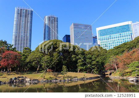 東京Hamarikyu皇家公園秋葉 12528951
