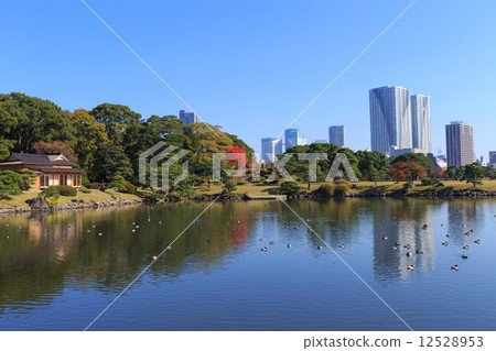 東京Hamarikyu皇家公園秋葉 12528953