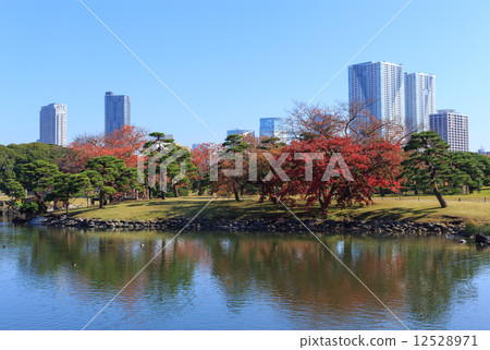東京Hamarikyu皇家公園秋葉 12528971