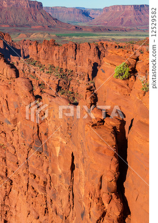 Fisher Tower 12529582