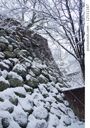 Slow late for the castle 12531167